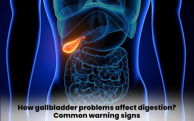 How gallbladder problems affect digestion? Common warning signs